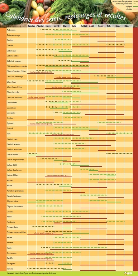 Calendrier des semis du jardin potager