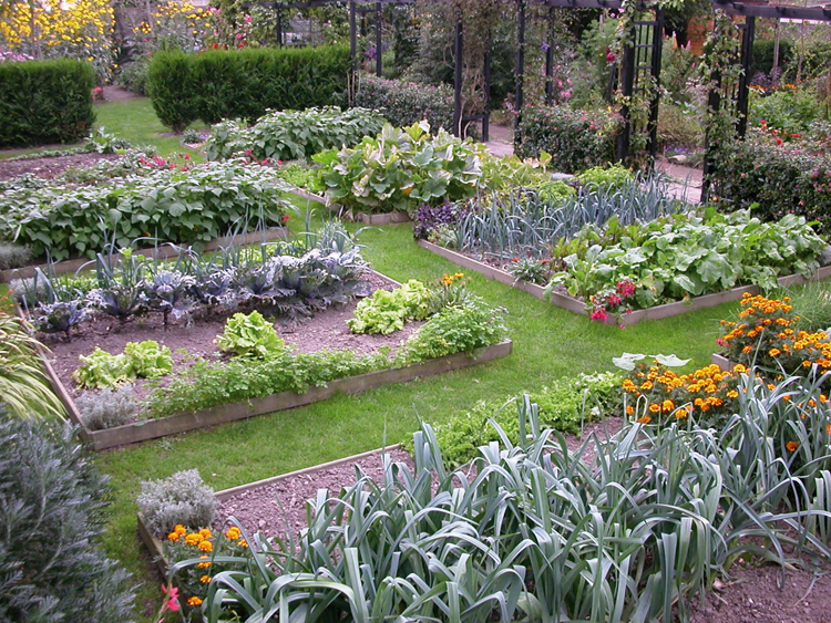 Potager en carré pour rotation des cultures