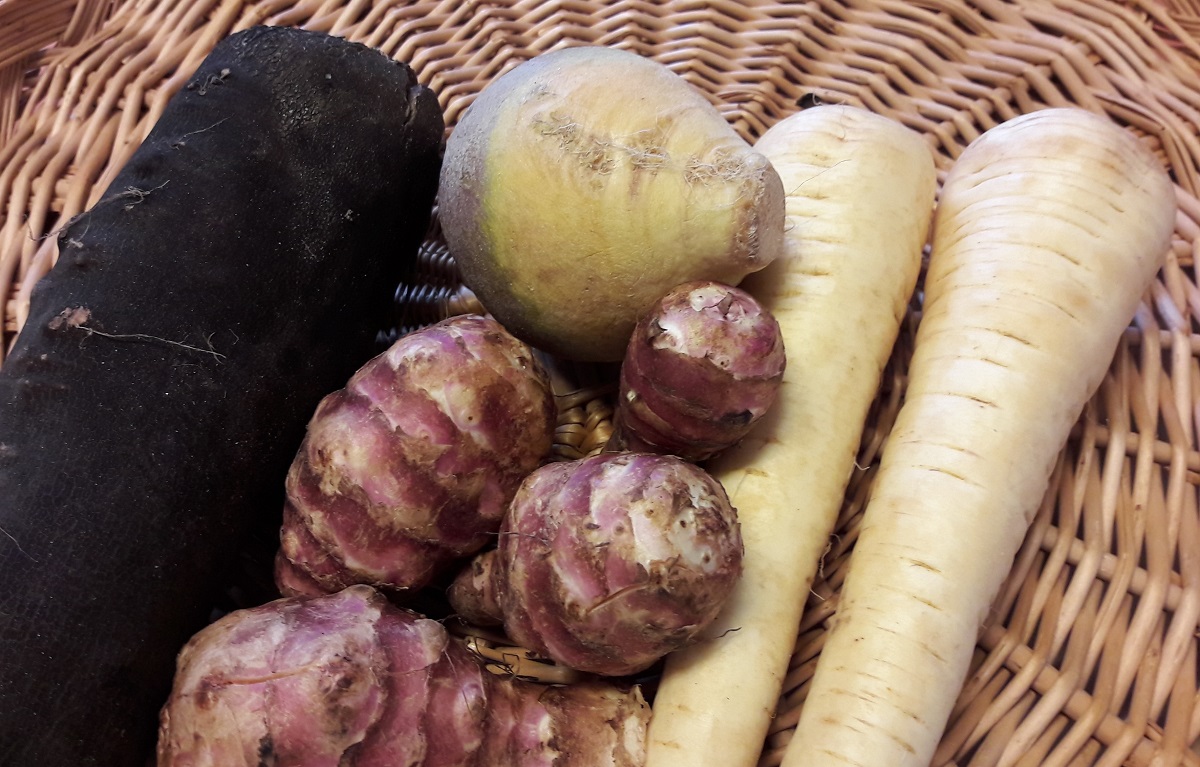 LÉGUMES ANCIENS