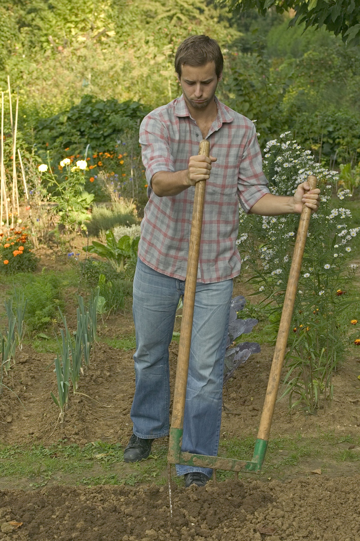 Faire soi-même un fongicide naturel pour le jardin