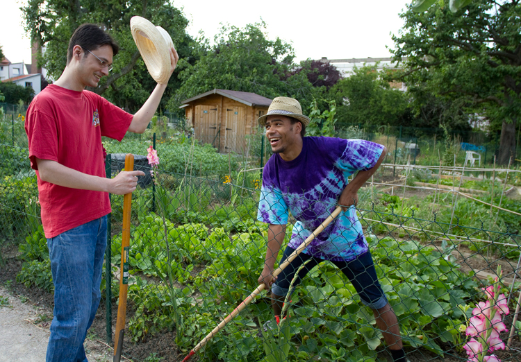 Echanges entre jardiniers au potager