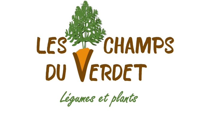 LES CHAMPS DU VERDET